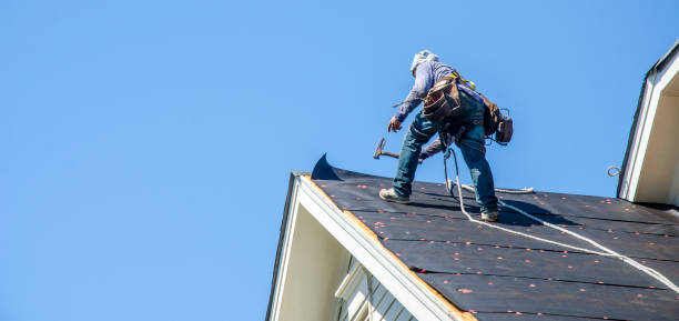 Best Roof Repair Services  in Eddyville, KY